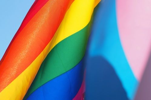 Sélection en lien avec la &quot;marche des Fiertés&quot; du 21 juin à Biarritz